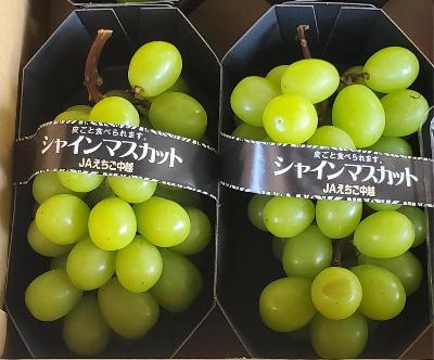 マスカット