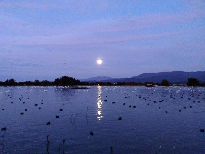 R071105瓢湖と満月-01