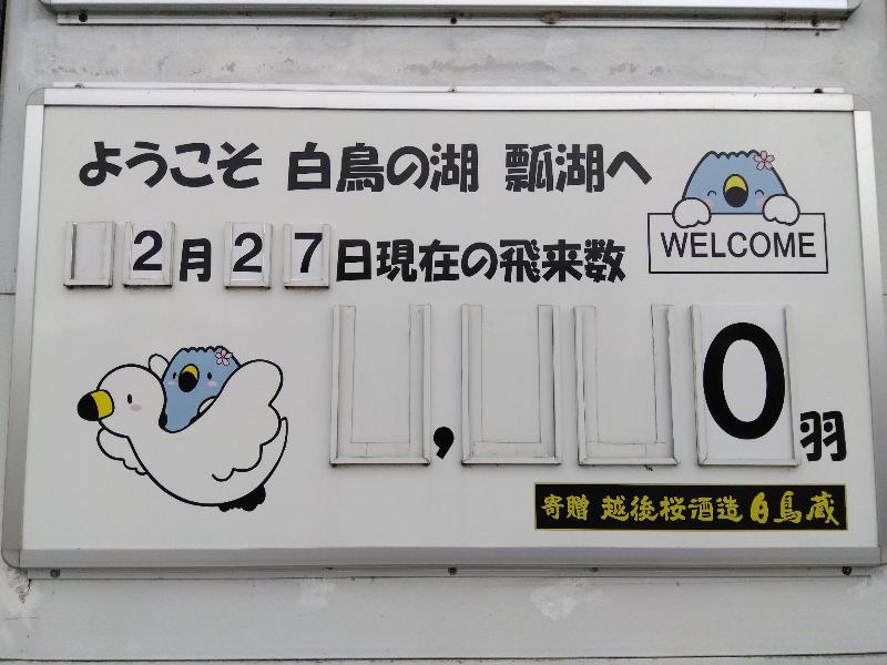 白鳥飛来数20260227