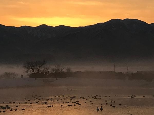 瓢湖 2月12日朝 2