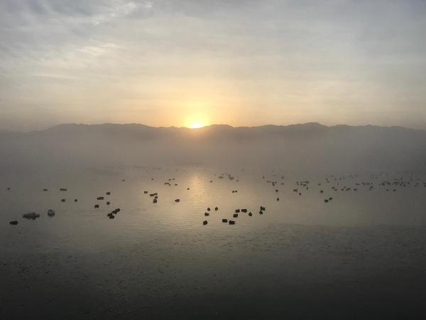 瓢湖 2月12日朝 001