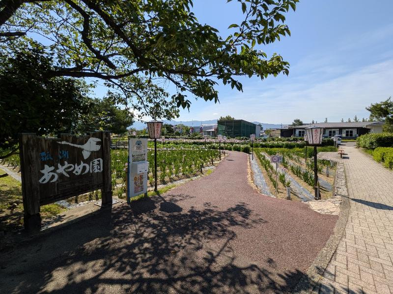 R80616あやめ園-01