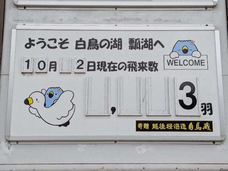 瓢湖白鳥飛来数R81002