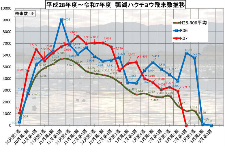 瓢湖白鳥飛来数推移