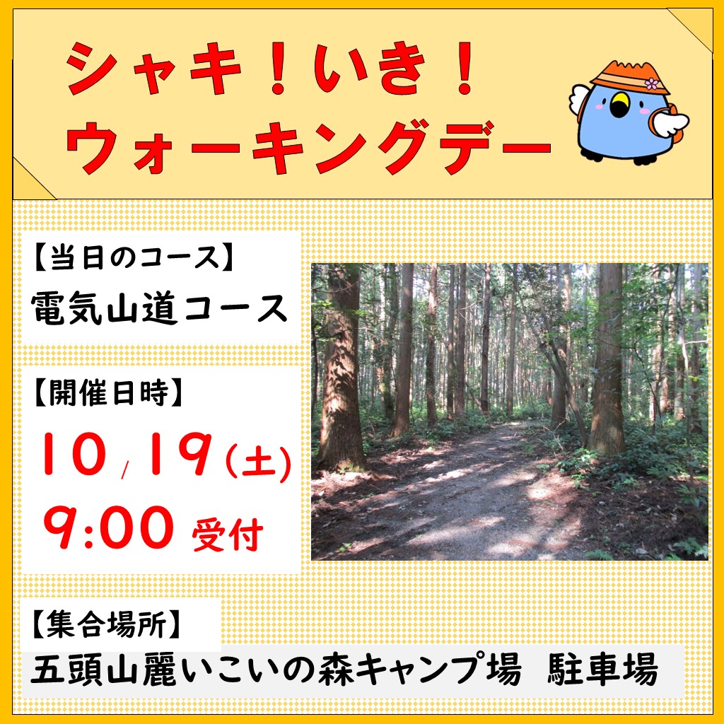 令和6年10月19日シャキ！いき！ウォーキングデー