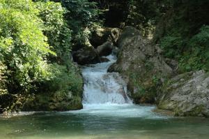 川の水が上流から流れてきており、手前の方で小さな段があり、周りに岩や木々のある沢の写真