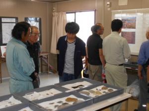 遺跡から発掘された出土品の展示を見学している来場者の写真