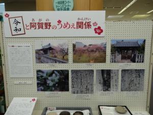 「令和と阿賀野のうめぇ関係」と書かれた看板と写真が展示されているパネルの写真