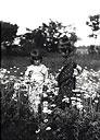 花畑に立つ2人の少女の写真