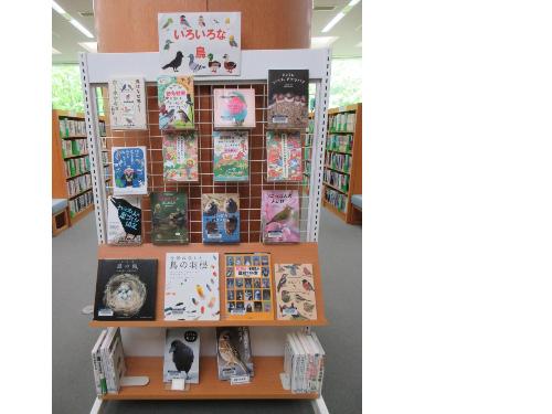5月の企画展示2の写真