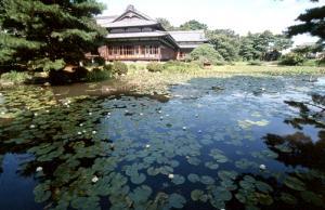 手前に蓮の葉が沢山浮いている池、奥に孝順寺が写っている写真