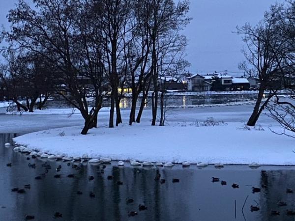 瓢湖　本池　0203-1