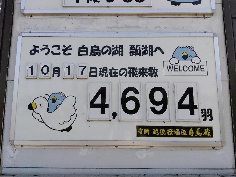 推移20251010