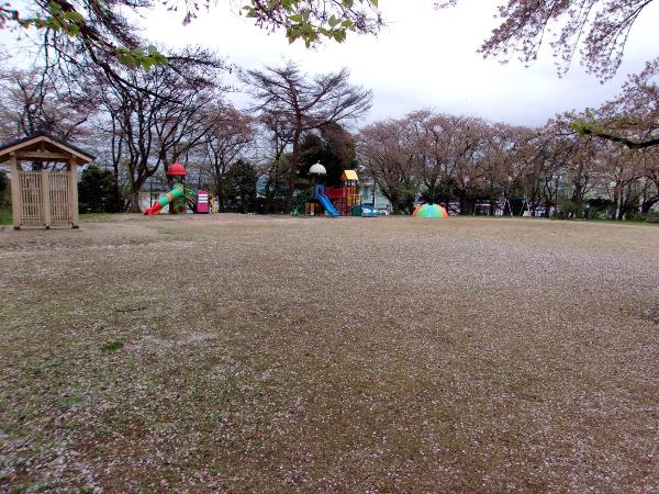 天朝山公園　芝生広場