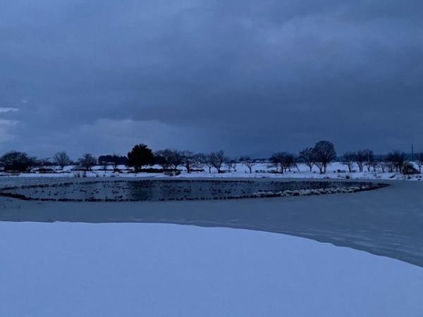 瓢湖　東新池　0203-1