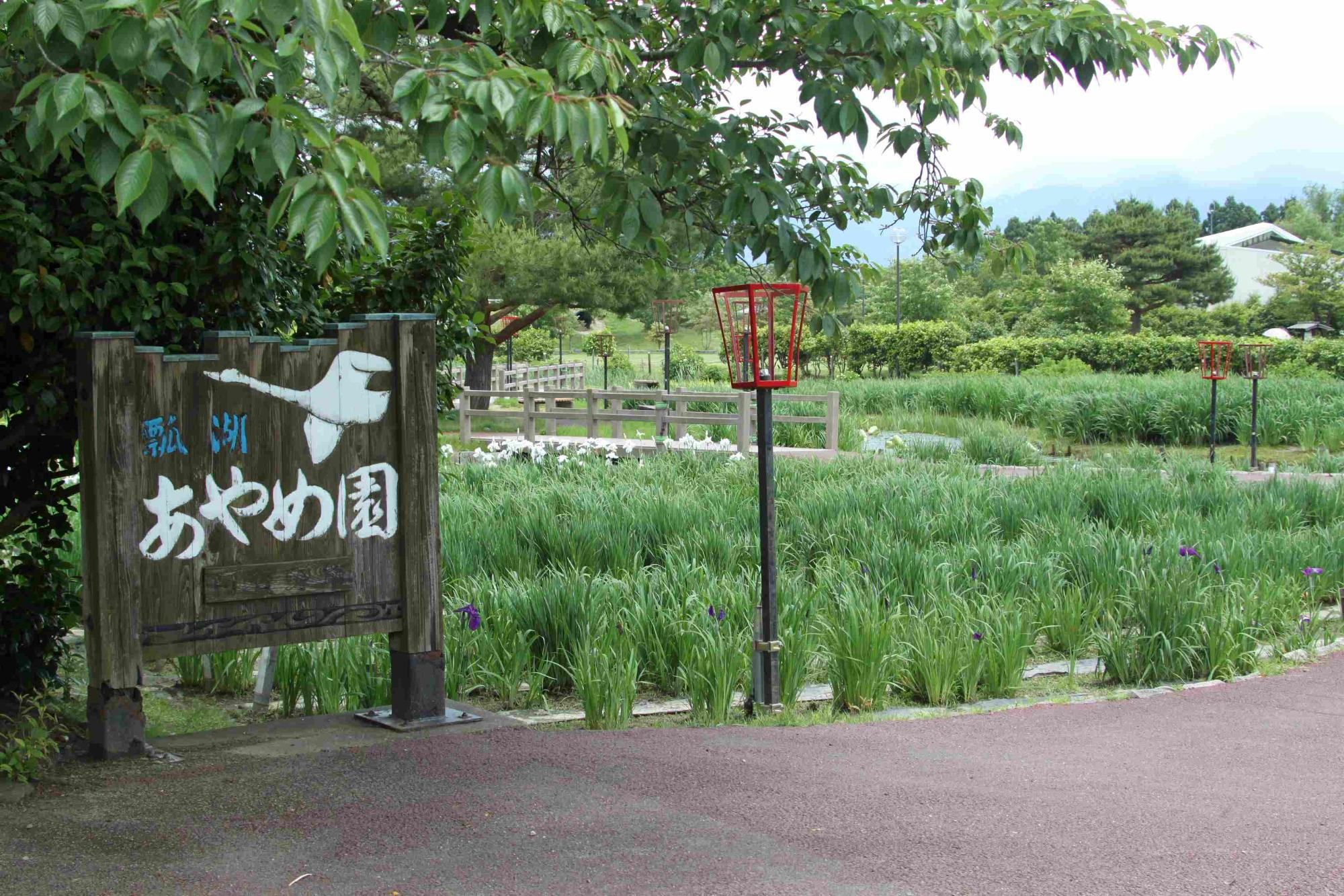 R070604-1