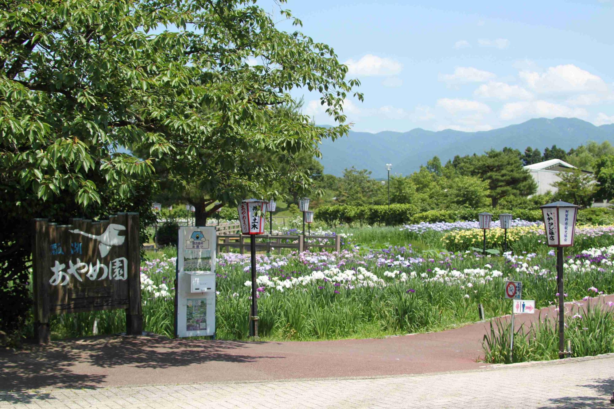 R070618-01