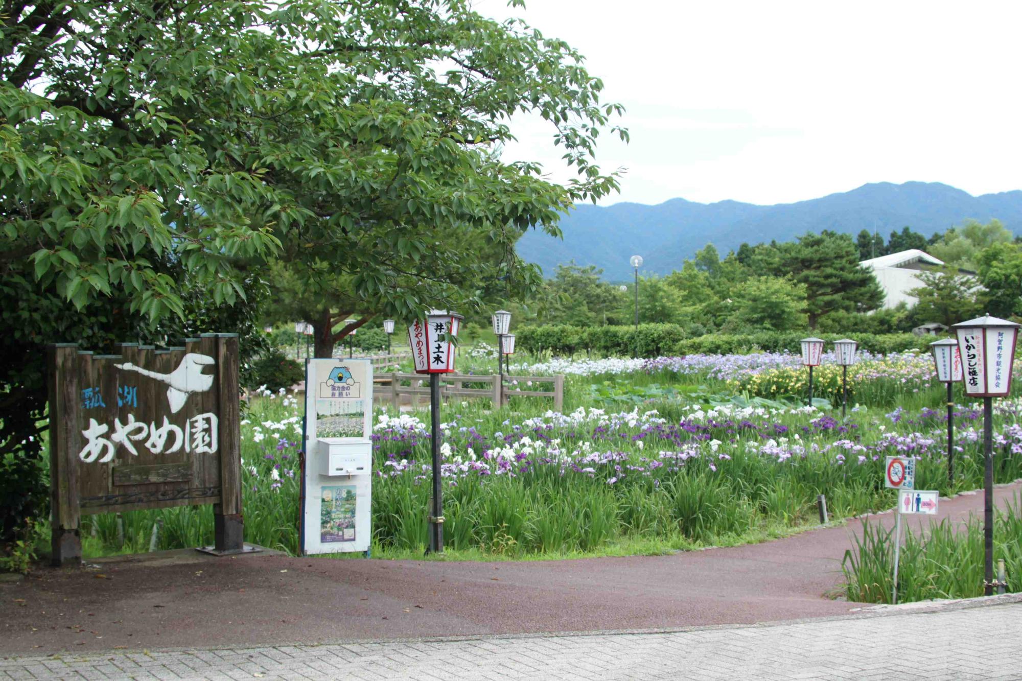 R070624-01