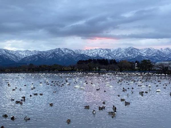 瓢湖　本池　0120-1