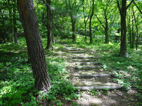 赤松山森林公園　遊歩道