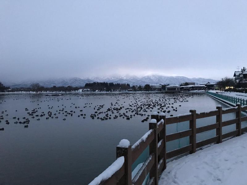 2月4日　朝の瓢湖