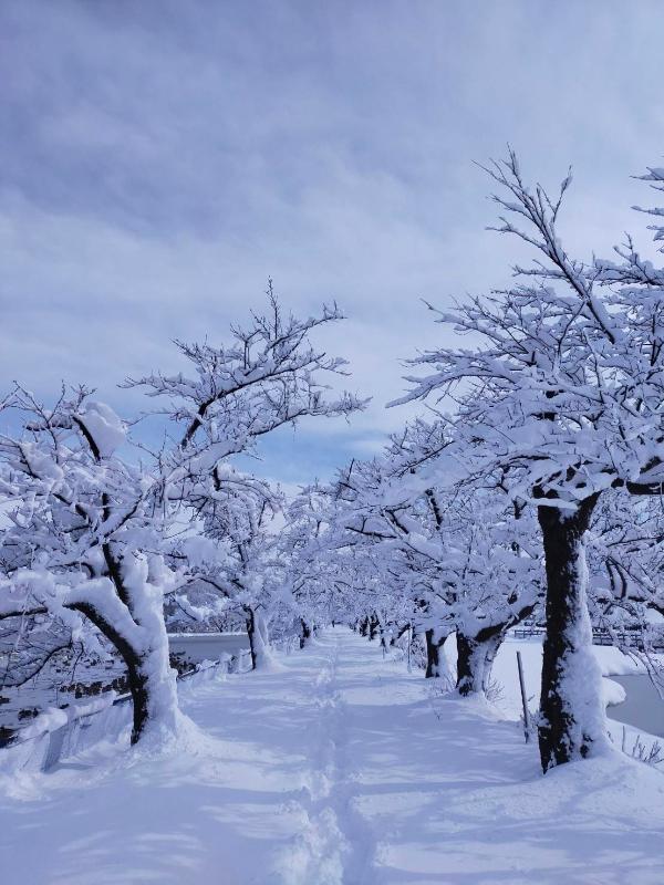 2月17　雪の瓢湖　その3