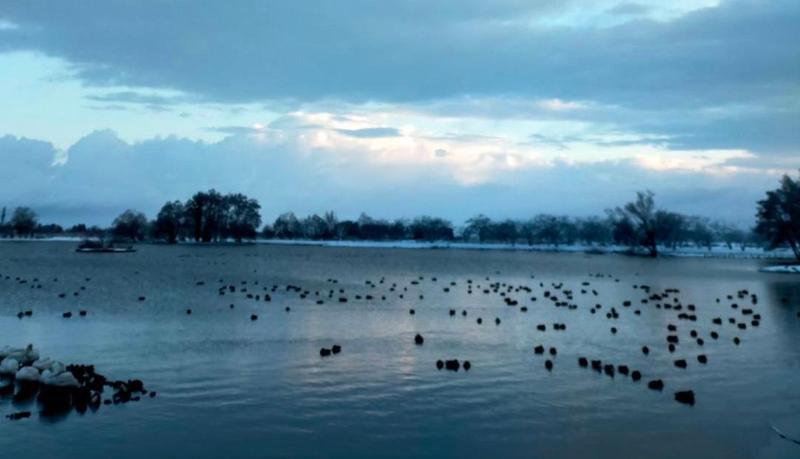 2月25日　朝の瓢湖