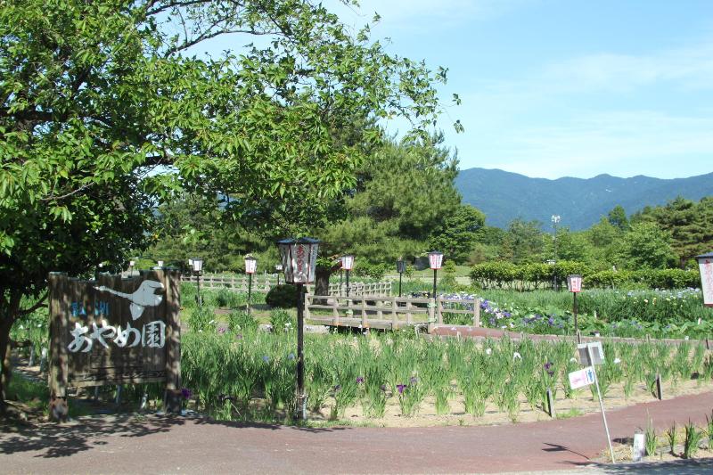 R080605あやめ園-02