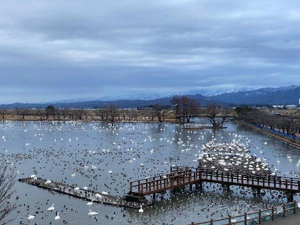 瓢湖　本池　0120-3