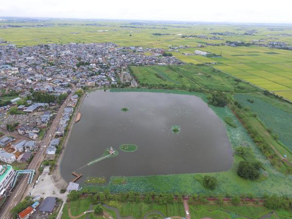 瓢湖水きん公園　全体写真