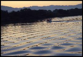 阿賀野川に浮かぶ一艘の舟と美しい波紋を写した写真