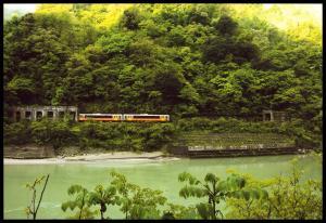 川の向こう岸の鬱蒼と生い茂る木々の下を赤い電車が走っている写真