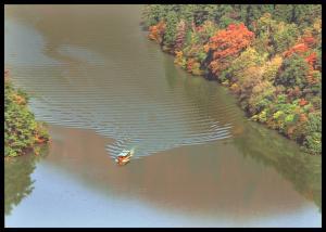 川岸の木々は赤や黄色に紅葉していて、川の中を一艘の船が進んでいき、船が通ったあとが緩やかに波が立っている写真