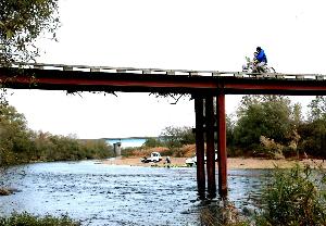 朝日に染まる橋と、白鳥が川辺にとまっている写真