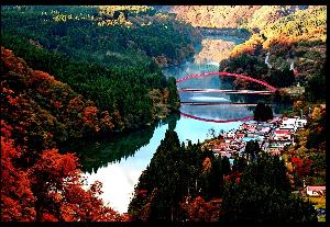紅葉の景色と赤い橋の写真