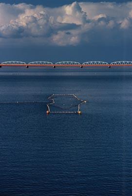 白い雲と青い海の間に浮かぶ水色とオレンジ色の鉄橋の写真