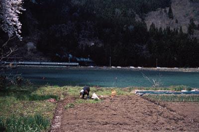 川沿いの畑で農作業をしている人物の写真