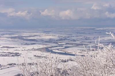 蛇行して流れている阿賀野川と真っ白く雪化粧をした周辺の田んぼや畑や民家、雪が積もった木の枝の写真