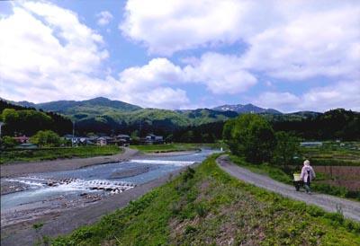 阿賀野川の傍にある畑のわき道を農家の方が一輪車を押して歩いている写真