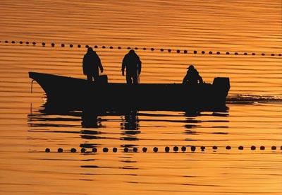 金色に輝く阿賀野川に浮かび上がる、ボートの上の3人の漁師のシルエットの写真