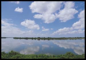青い空と白い雲が川の水面に鏡に映したように反射している写真