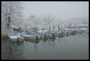 白く雪が積もった木々と川岸に停泊している10艘ほどの船の写真