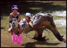 川の中にあるラクダのような形の流木にまたがって遊んでいる2人の女の子の写真