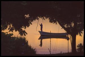 オレンジ色に染まった川の中央に釣り人と船、その周りを囲む木々のシルエットが写っている写真
