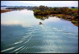 大河阿賀野川を悠然と進むボートとその波動を写した写真
