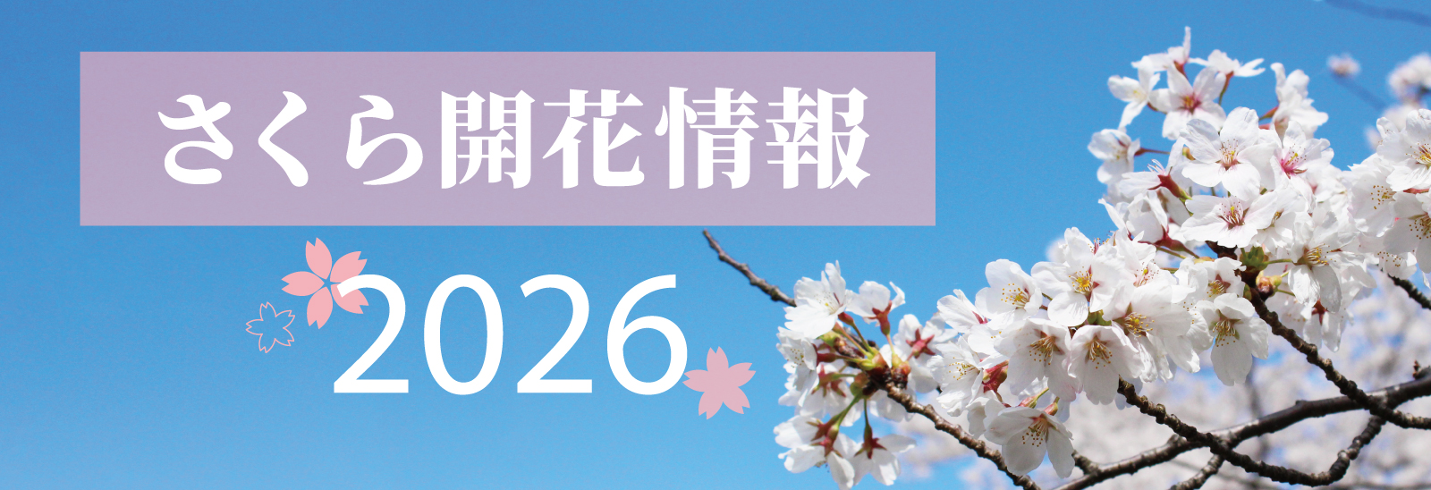 さくら開花情報2026