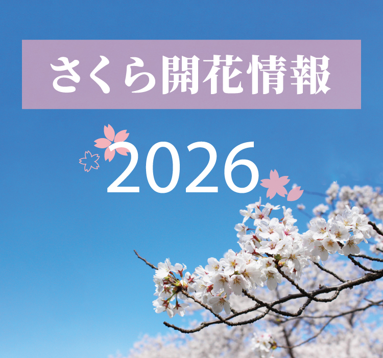 さくら開花情報2026
