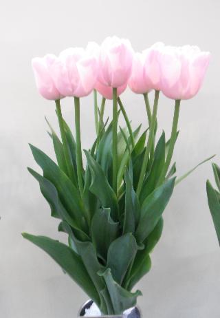 薄いピンク色のチューリップの花束