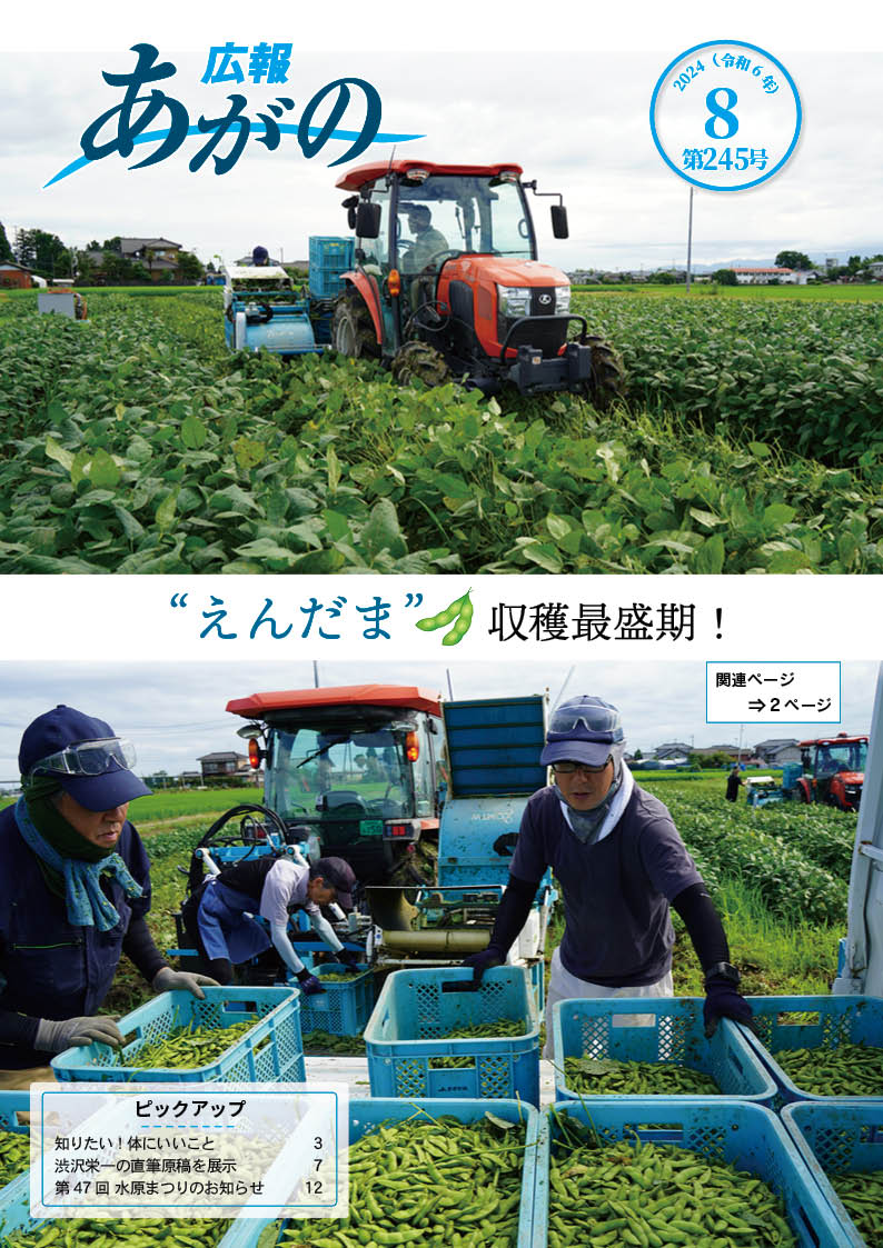 広報あがの令和6年8月号表紙（えんだまの収穫の様子）