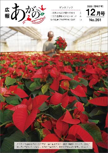 広報あがの令和7年12月号表紙（写真はポインセチアが一面に並ぶナカジマ園芸（堀越）のハウス）